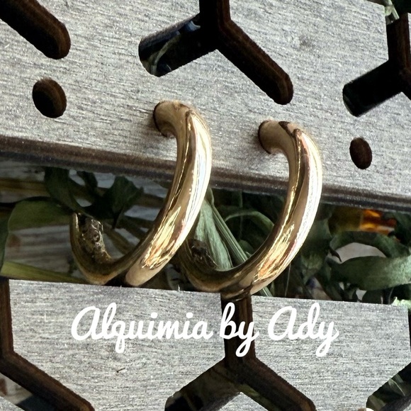 Alquimia by Ady Gold hoop Earrings - Picture 1 of 1